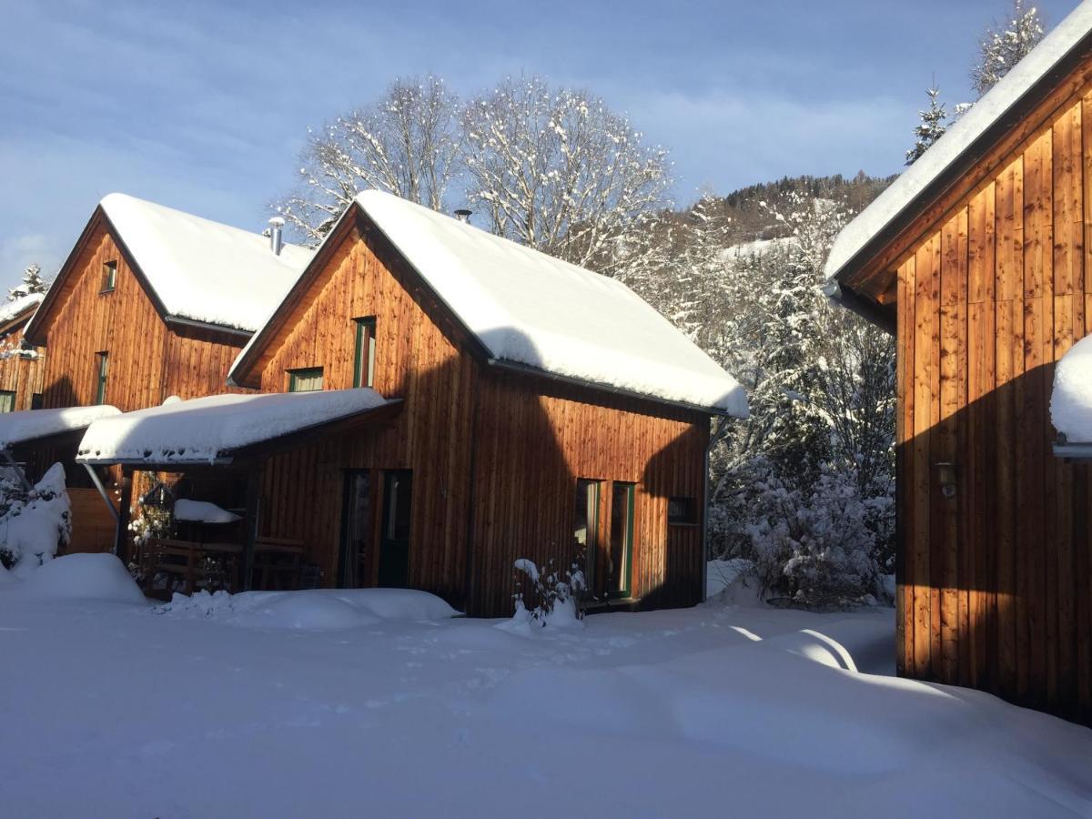 Alpenferienhaus Sophia Sankt Lorenzen ob Murau Dış mekan fotoğraf