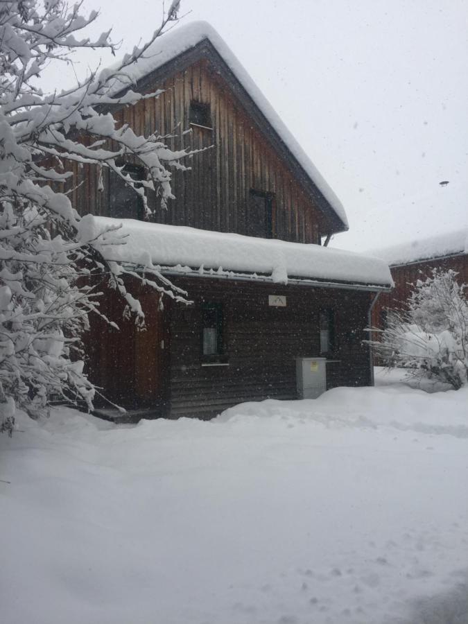 Alpenferienhaus Sophia Sankt Lorenzen ob Murau Dış mekan fotoğraf