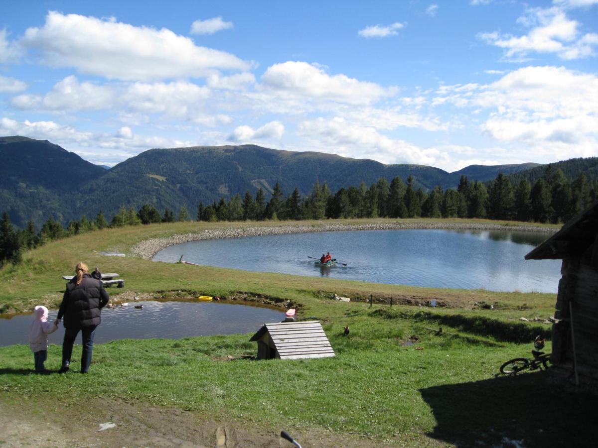 Alpenferienhaus Sophia Sankt Lorenzen ob Murau Dış mekan fotoğraf