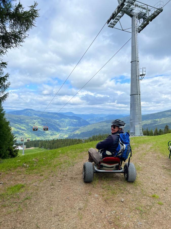 Alpenferienhaus Sophia Sankt Lorenzen ob Murau Dış mekan fotoğraf