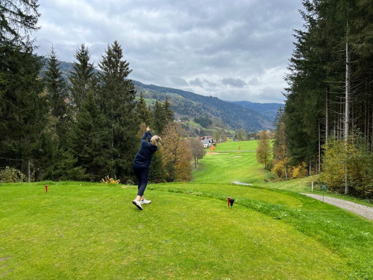 Alpenferienhaus Sophia Sankt Lorenzen ob Murau Dış mekan fotoğraf