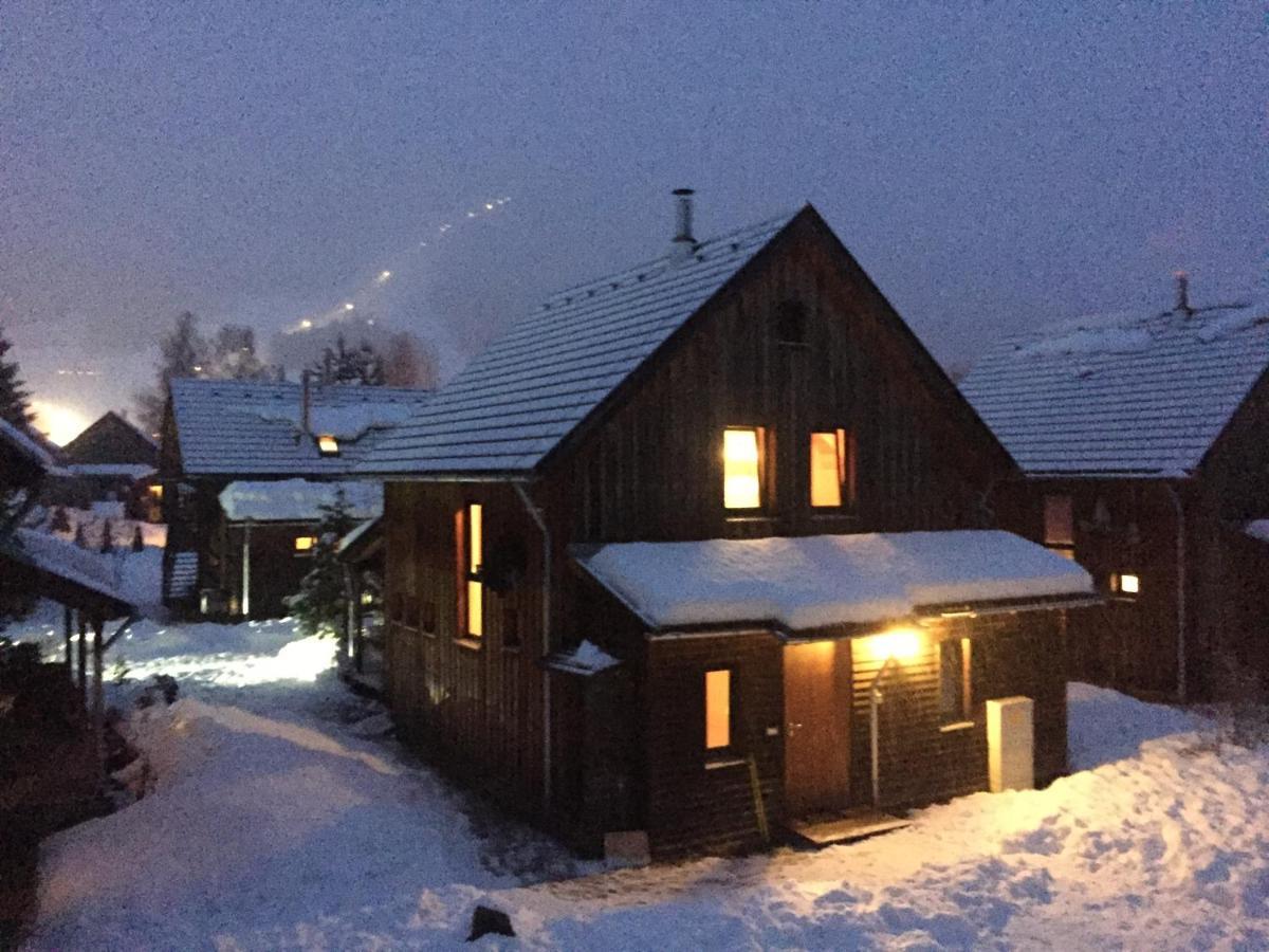 Alpenferienhaus Sophia Sankt Lorenzen ob Murau Dış mekan fotoğraf